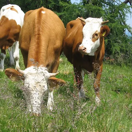 Farma Bauernhofurlaub Sinnhubgut *