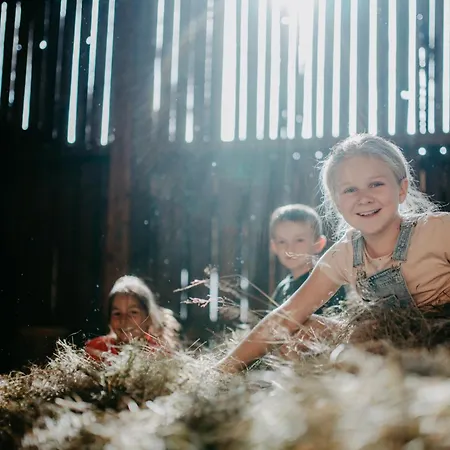 Bauernhofurlaub Sinnhubgut Altenmarkt im Pongau
