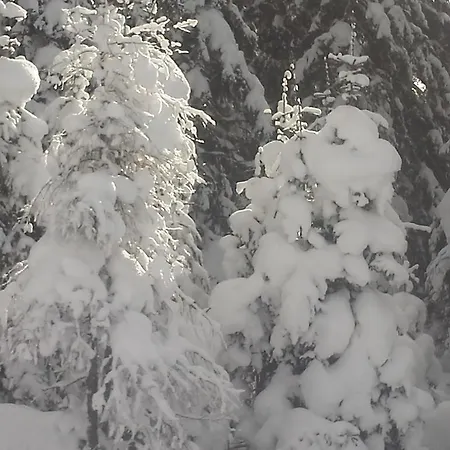 Bauernhof Bauernhofurlaub Sinnhubgut *